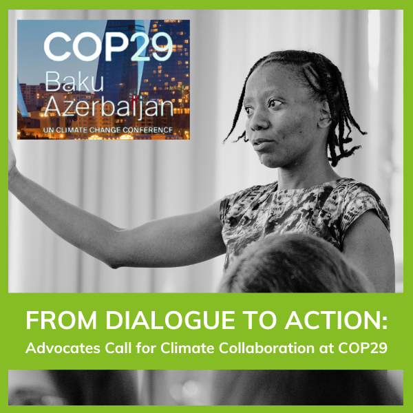 COP29 November 2024 article Emma Tozer square